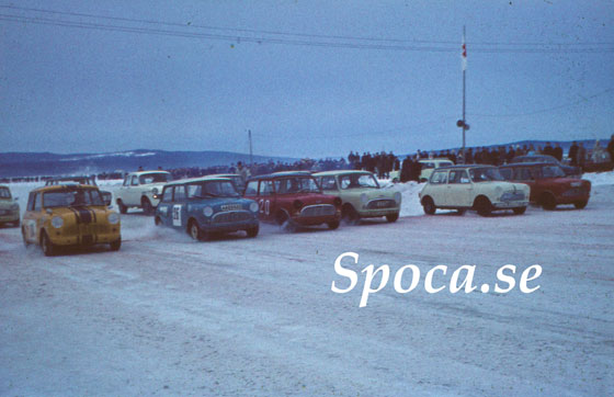 Åtta Hundkojor (Mini) till start
